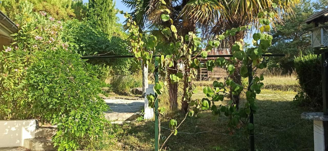 Les Falaises Holiday home *
